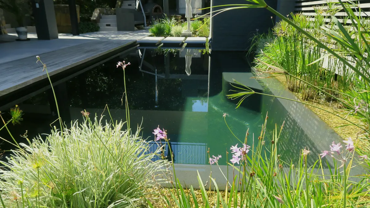 House Cooper natural swimming pool — Keurboom Strand